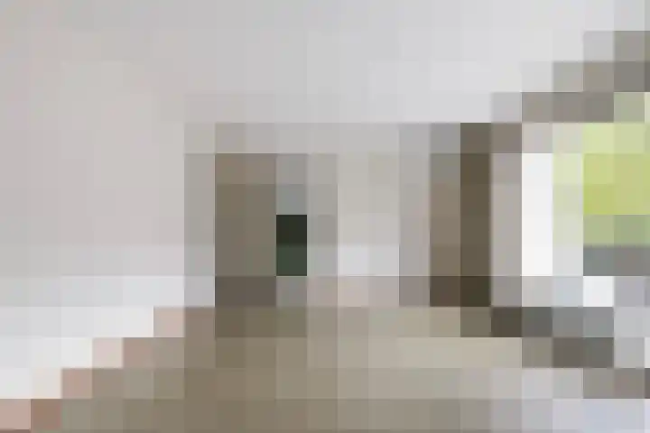 Marie Koenenlaan 24 Tilburg thumbnail 29