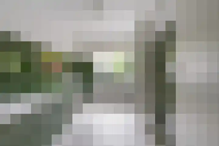 Marie Koenenlaan 24 Tilburg thumbnail 30