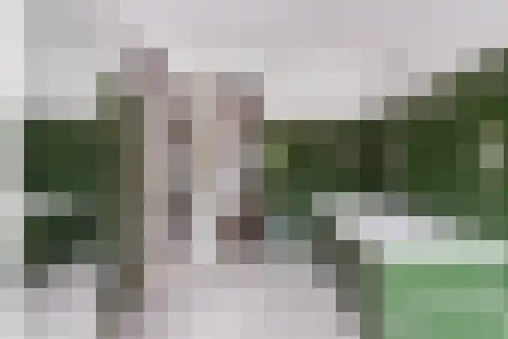 Marie Koenenlaan 24 Tilburg thumbnail 31
