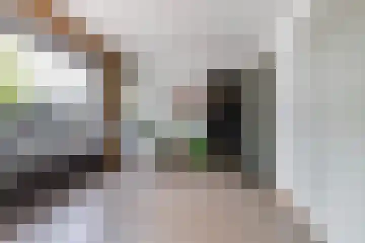 Marie Koenenlaan 24 Tilburg thumbnail 34