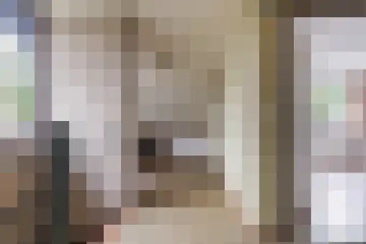 Marie Koenenlaan 24 Tilburg thumbnail 39