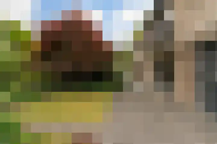 Marie Koenenlaan 24 Tilburg thumbnail 47