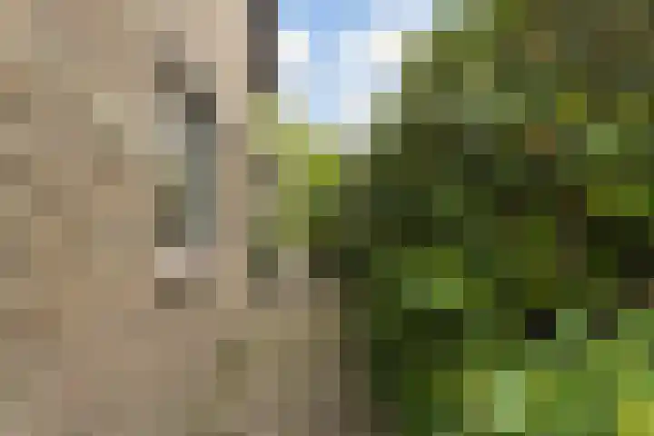 Marie Koenenlaan 24 Tilburg thumbnail 50