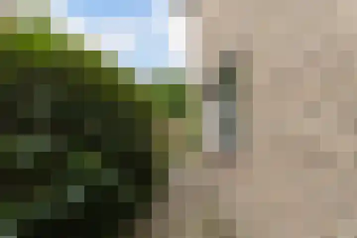 Marie Koenenlaan 24 Tilburg thumbnail 51