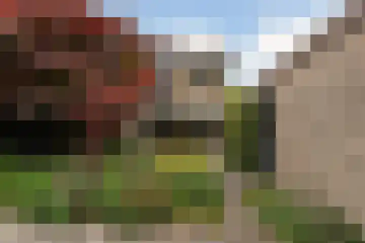 Marie Koenenlaan 24 Tilburg thumbnail 55
