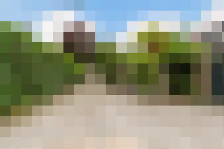 Marie Koenenlaan 24 Tilburg thumbnail 57
