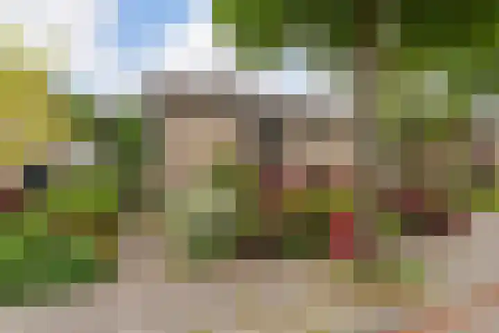 Marie Koenenlaan 24 Tilburg thumbnail 58