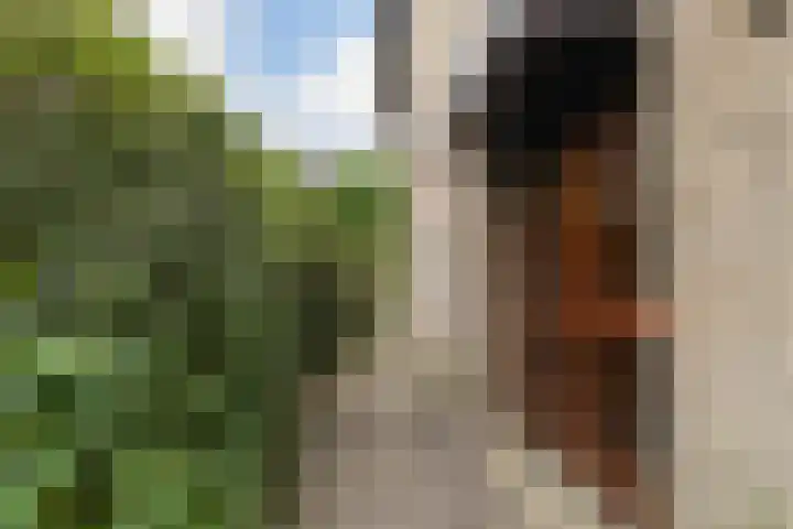 Marie Koenenlaan 24 Tilburg thumbnail 9