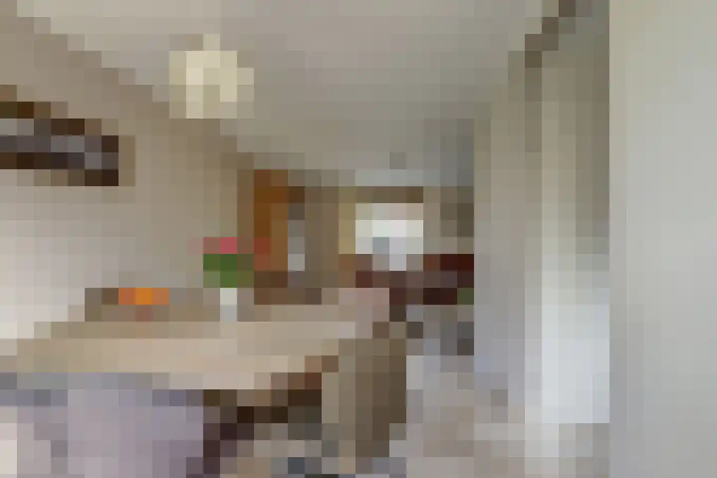Marie Koenenlaan 28 's-Hertogenbosch thumbnail 6