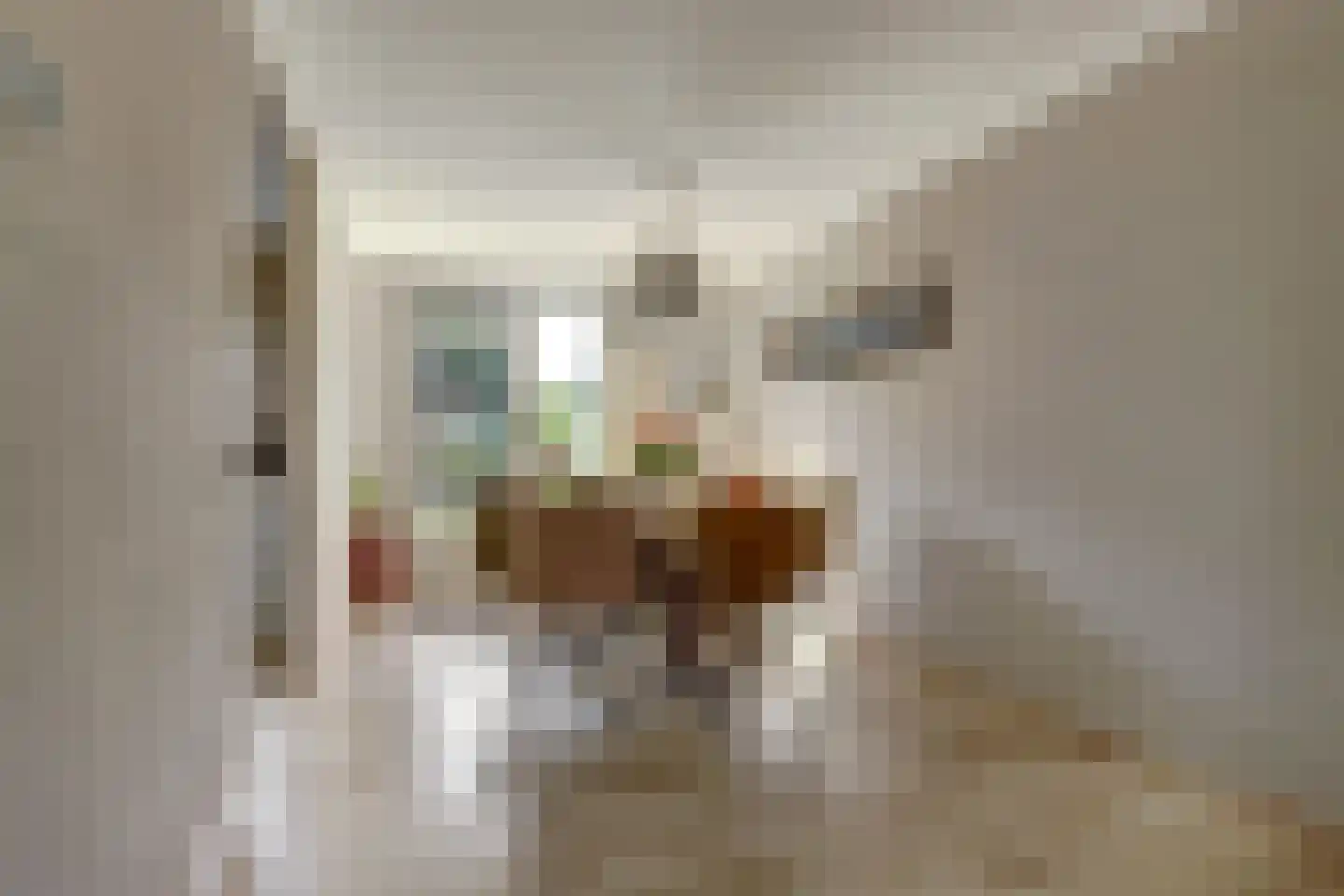 Marie Koenenlaan 28 's-Hertogenbosch thumbnail 7