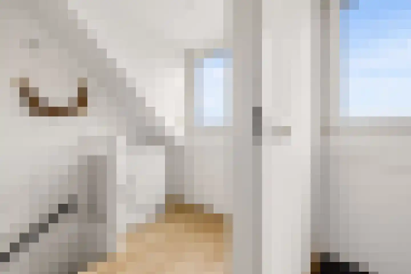 Marie Koenenlaan 68 's-Hertogenbosch thumbnail 26