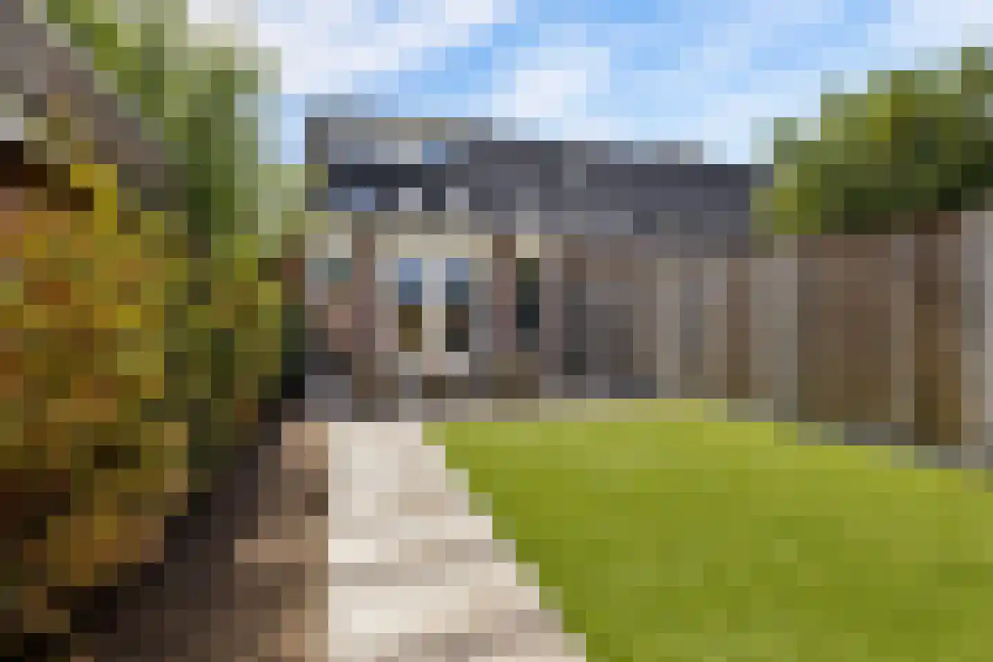 Marie Koenenlaan 68 's-Hertogenbosch thumbnail 33