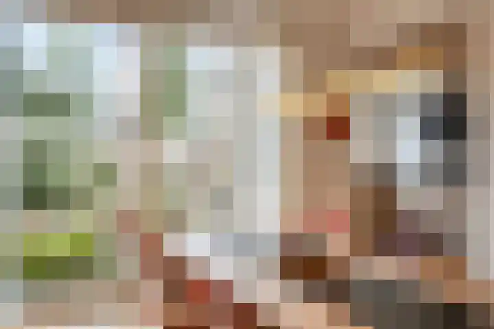 Marie Koenenlaan 73 Tilburg thumbnail 13
