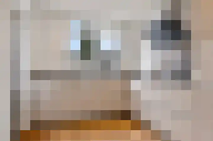 Marie Koenenlaan 73 Tilburg thumbnail 14