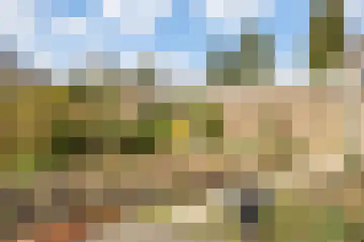 Marie Koenenlaan 73 Tilburg thumbnail 36