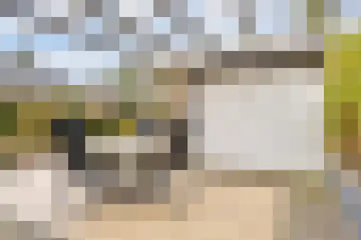 Marie Koenenlaan 73 Tilburg thumbnail 38