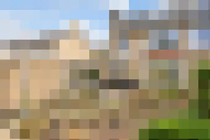 Marie Koenenlaan 73 Tilburg thumbnail 39