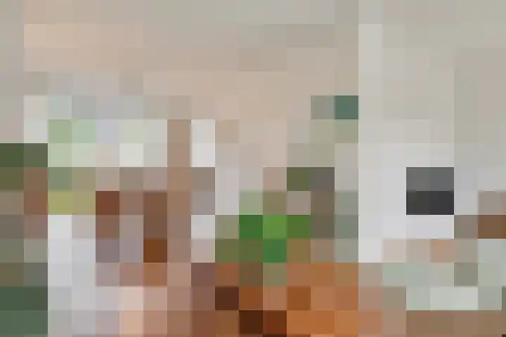 Marie Koenenlaan 73 Tilburg thumbnail 4