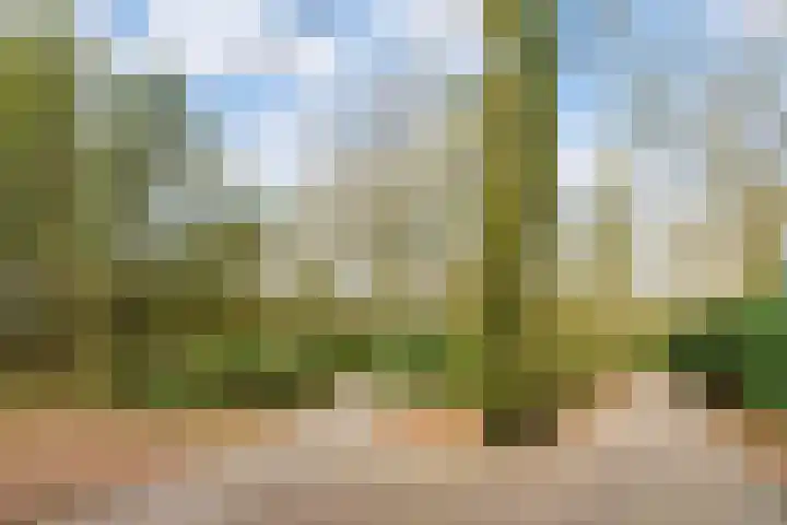 Marie Koenenlaan 73 Tilburg thumbnail 44