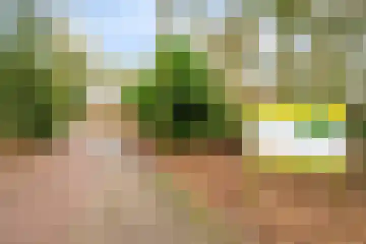 Marie Koenenlaan 73 Tilburg thumbnail 45