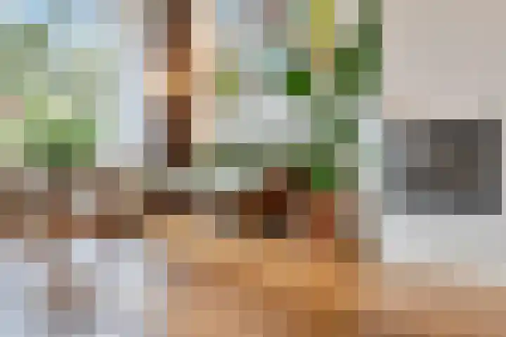 Marie Koenenlaan 73 Tilburg thumbnail 6