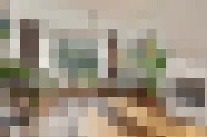 Marie Koenenlaan 73 Tilburg thumbnail 8