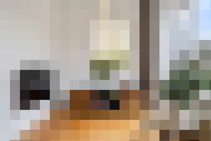 Marie Koenenlaan 73 Tilburg thumbnail 9
