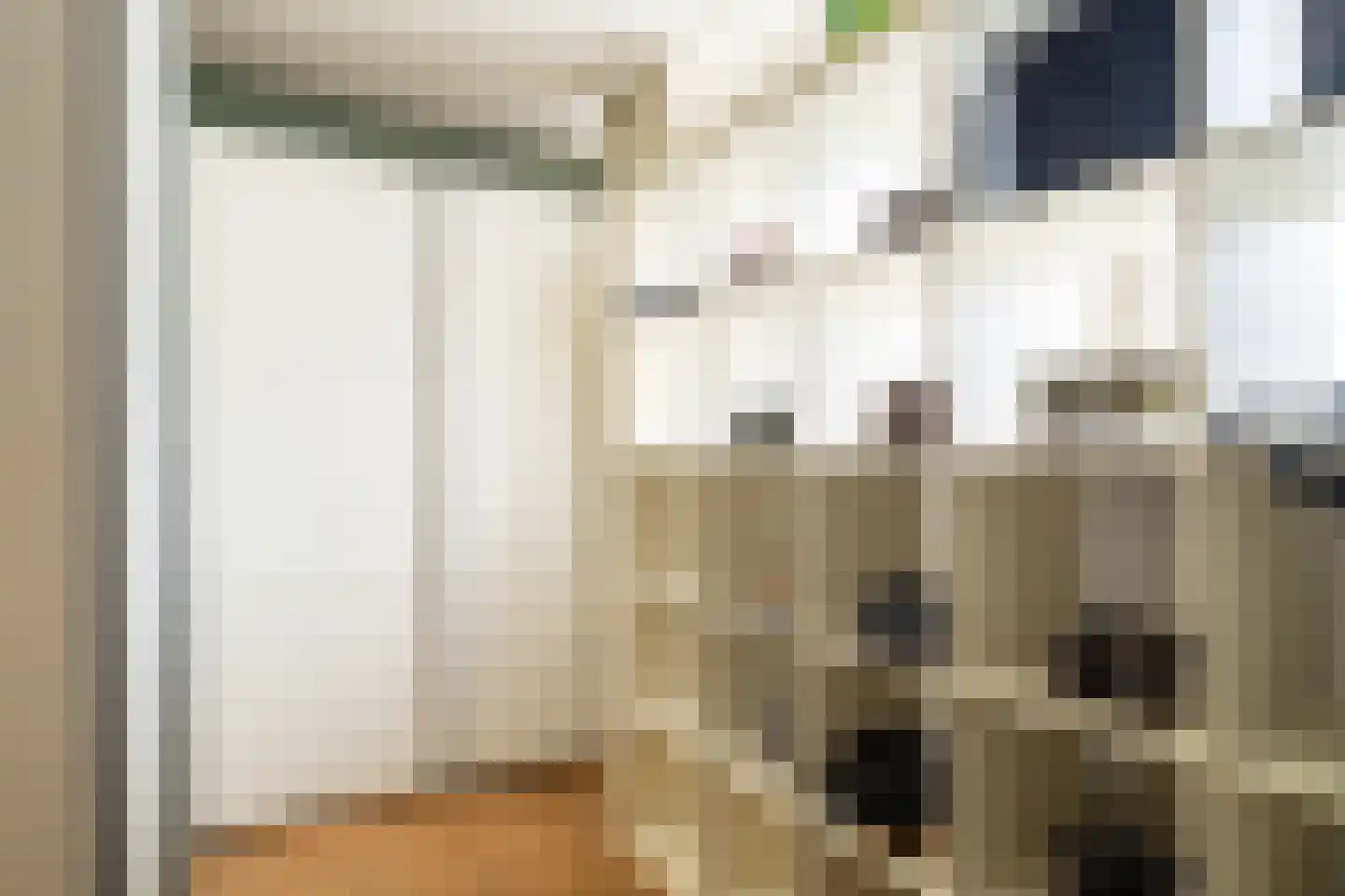 Marie Koenenlaan 81 Tilburg thumbnail 20