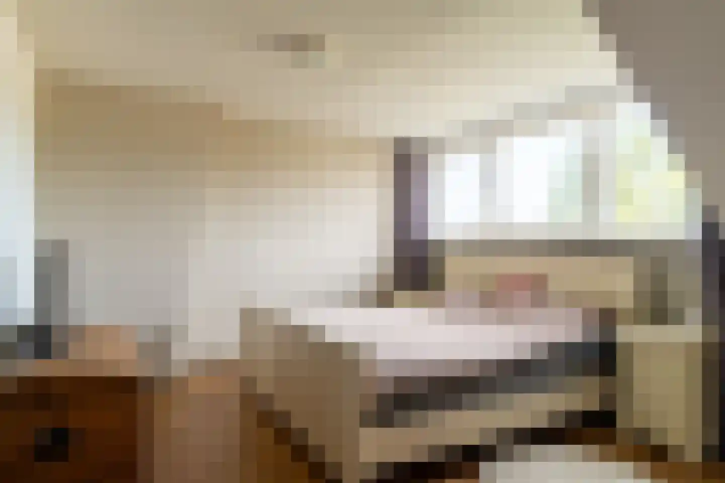 Marie Koenenlaan 81 Tilburg thumbnail 23