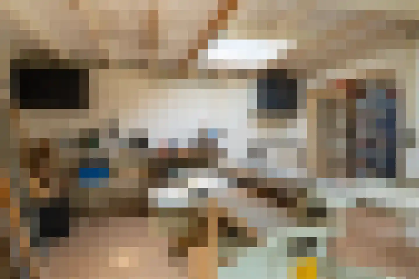 Marie Koenenlaan 81 Tilburg thumbnail 29