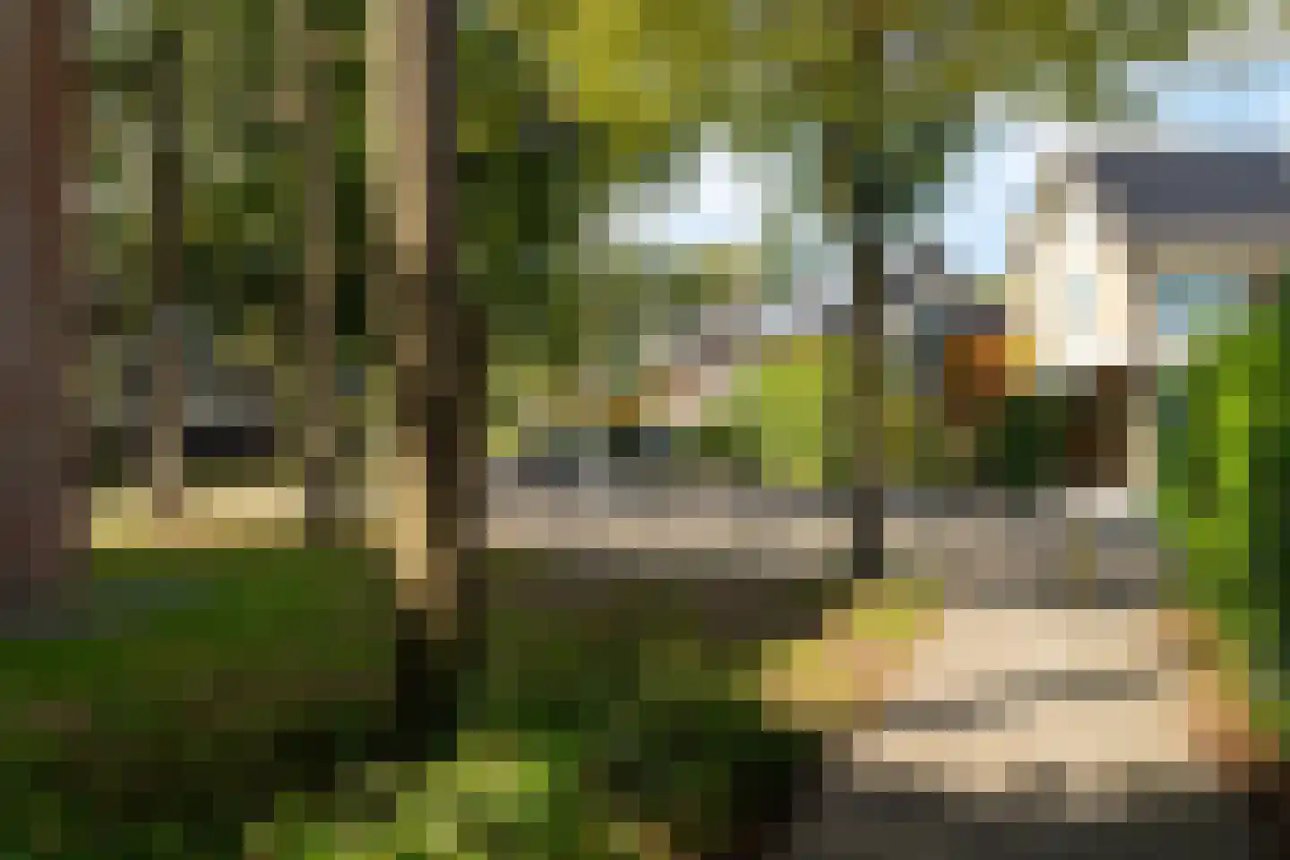 Marie Koenenlaan 81 Tilburg thumbnail 33
