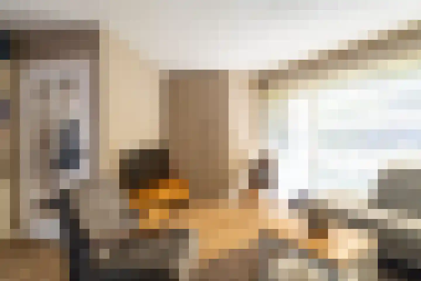 Marie Koenenlaan 81 Tilburg thumbnail 8