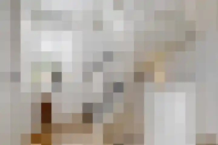 Marie Koenenstraat 1 F Melick thumbnail 12