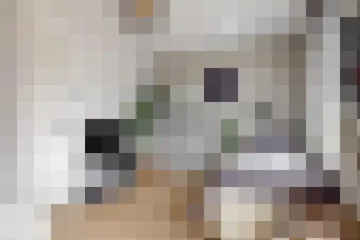 Marie Koenenstraat 1 F Melick thumbnail 16