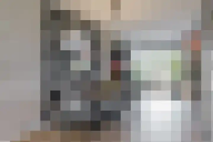 Marie Koenenstraat 1 F Melick thumbnail 5