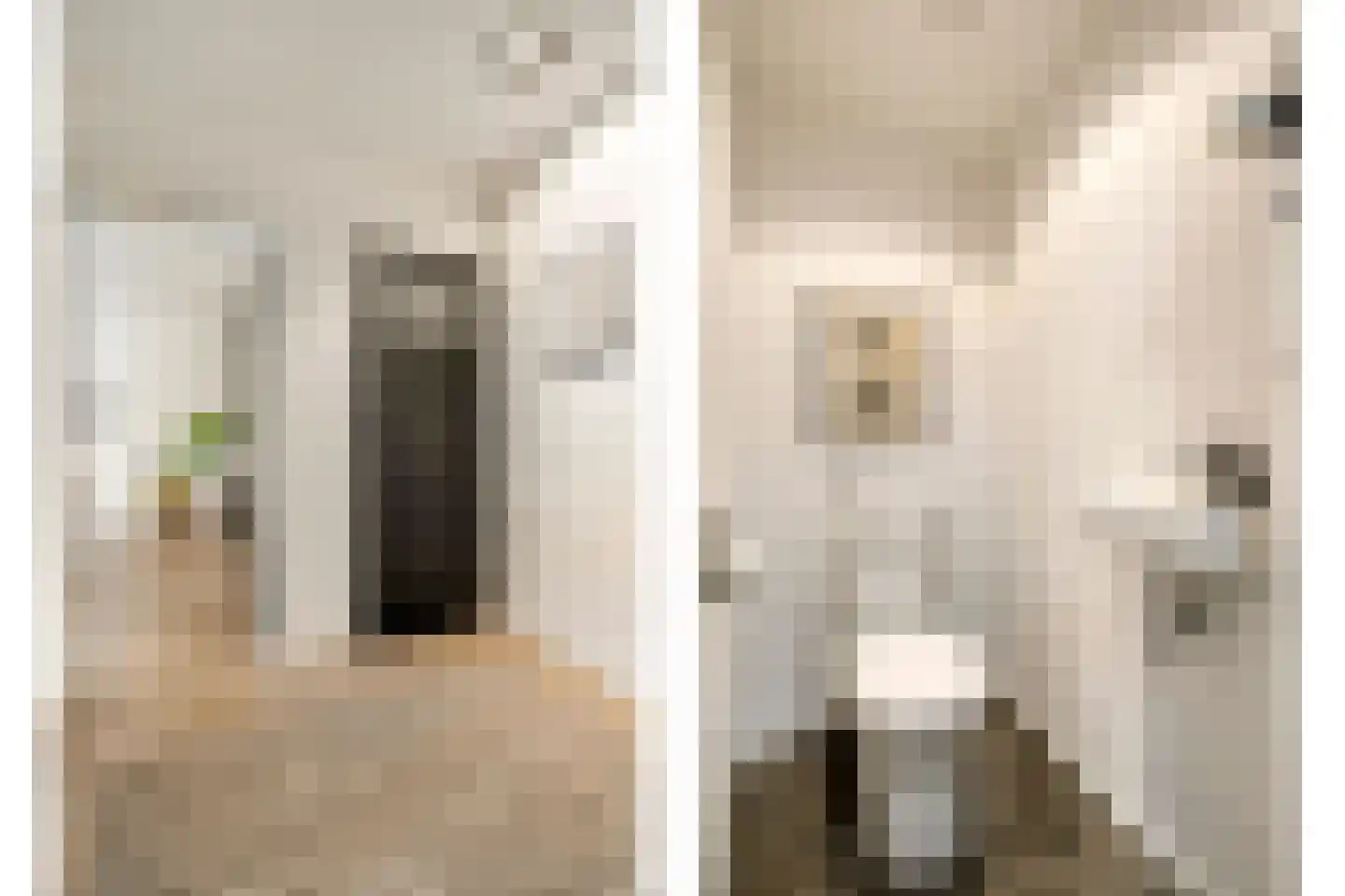 Marie Koenenstraat 29 Zwolle thumbnail 11