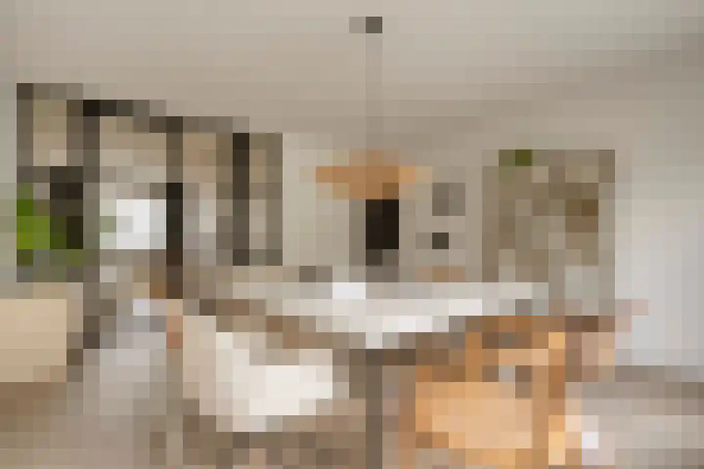 Marie Koenenstraat 29 Zwolle thumbnail 16