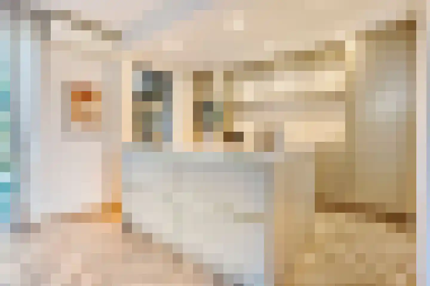 Marie Koenenstraat 8 Rosmalen thumbnail 11