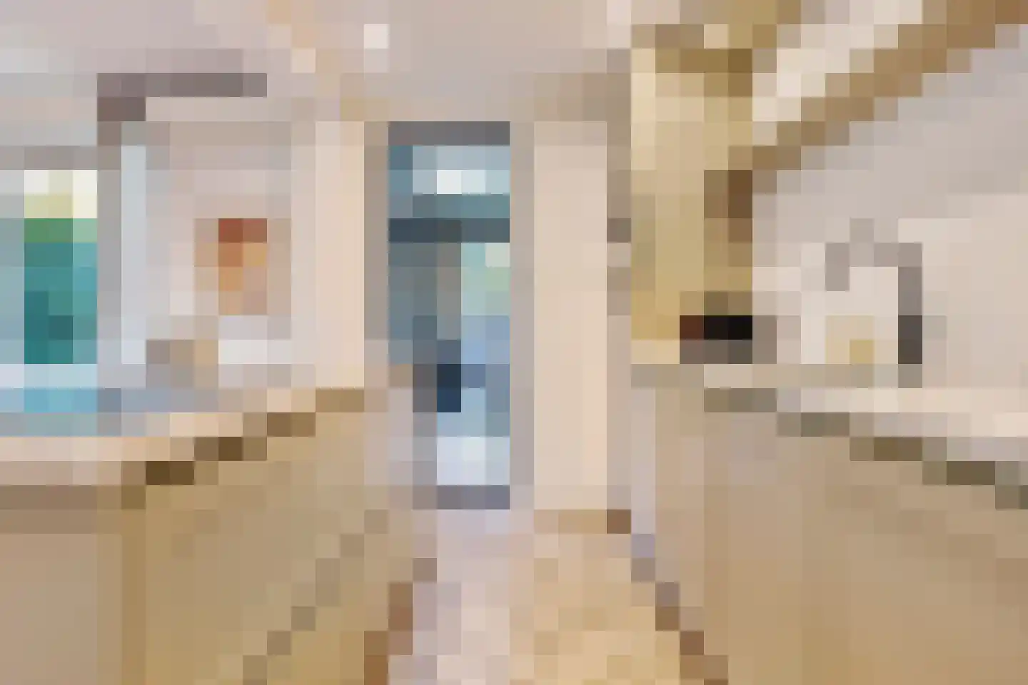 Marie Koenenstraat 8 Rosmalen thumbnail 15