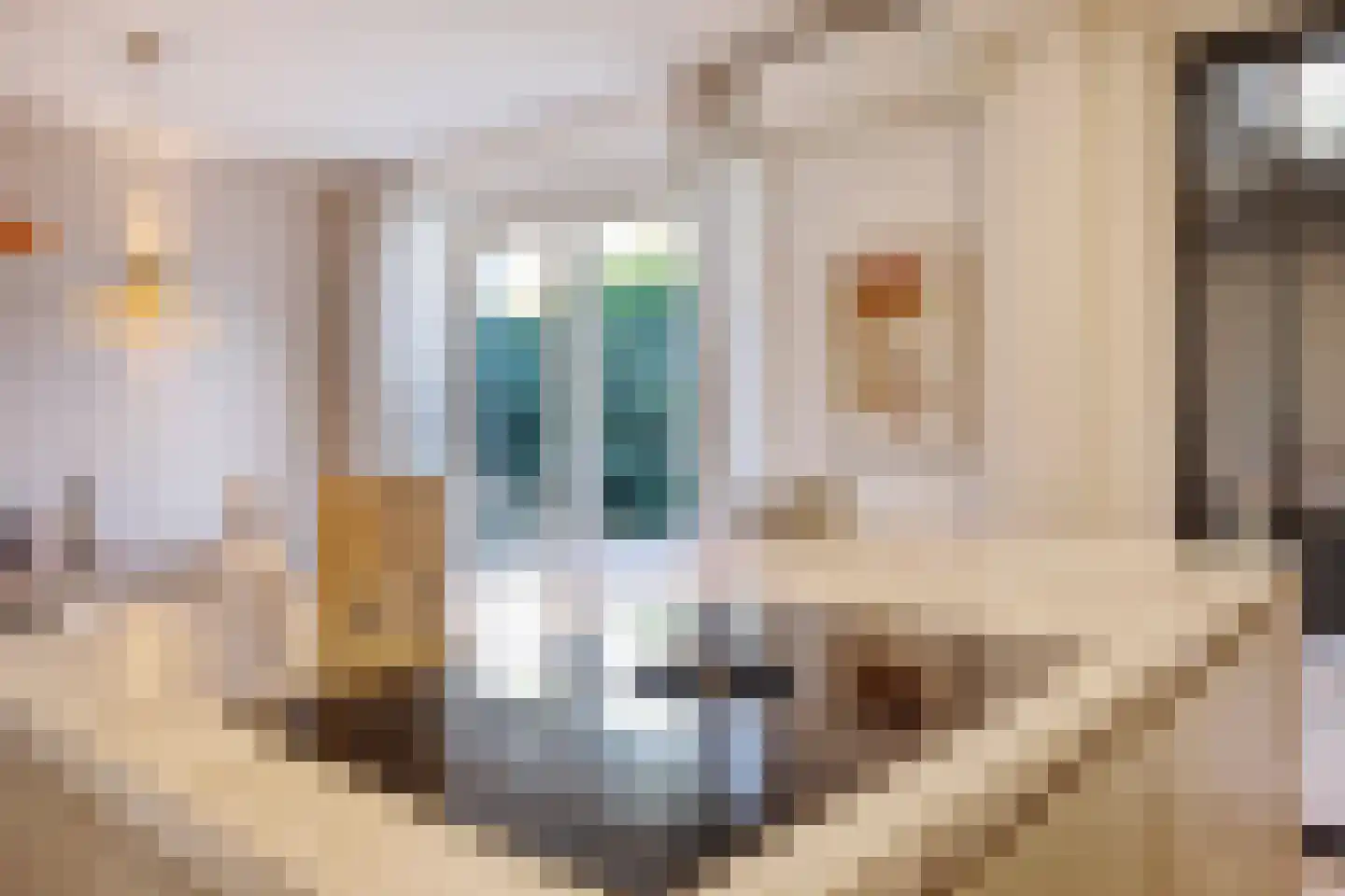 Marie Koenenstraat 8 Rosmalen thumbnail 17