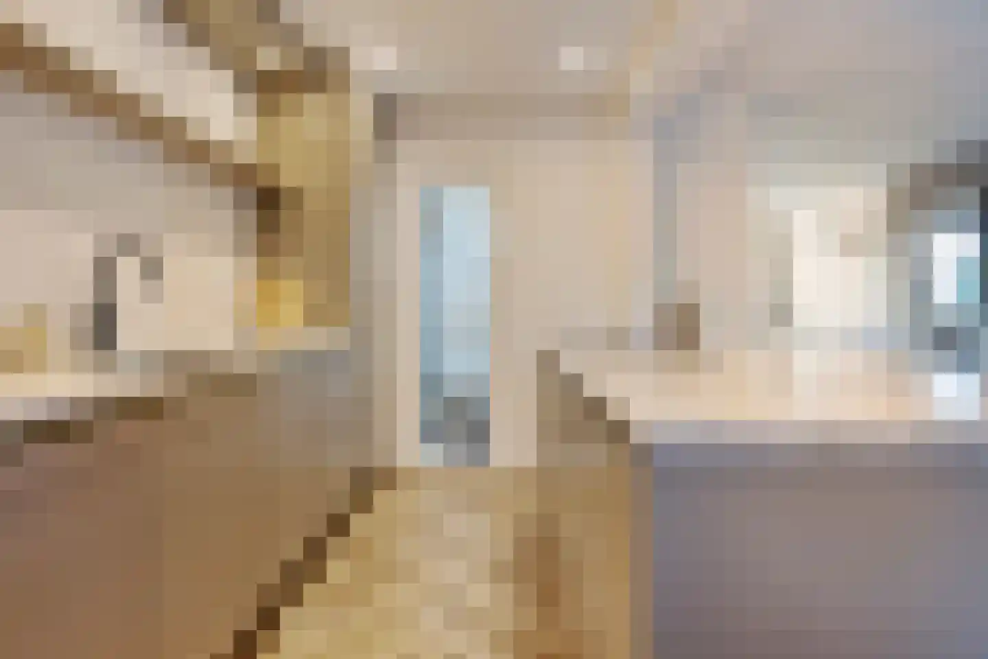 Marie Koenenstraat 8 Rosmalen thumbnail 19