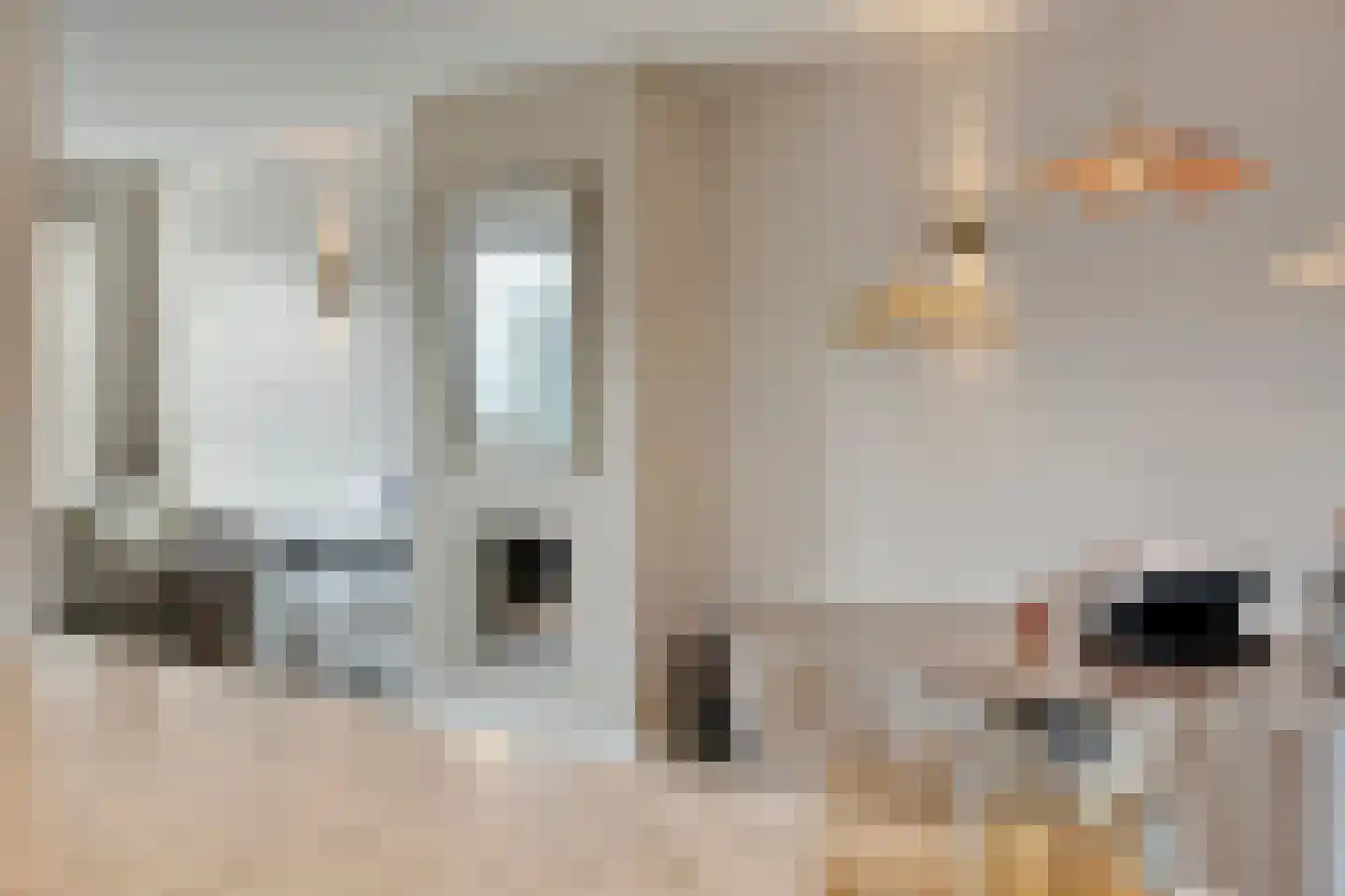 Marie Koenenstraat 8 Rosmalen thumbnail 20