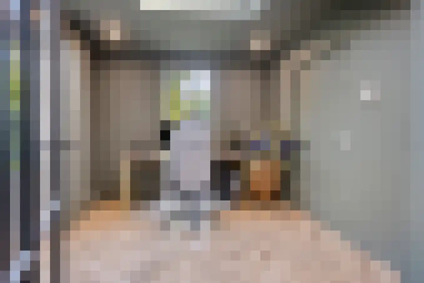 Marie Koenenstraat 8 Rosmalen thumbnail 22