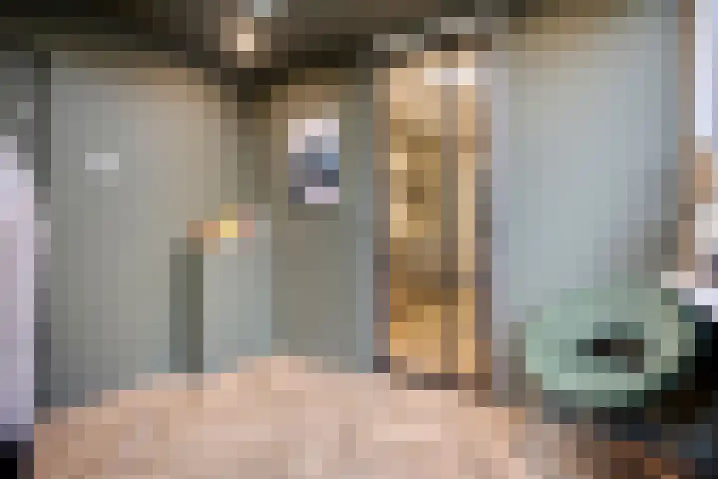 Marie Koenenstraat 8 Rosmalen thumbnail 24