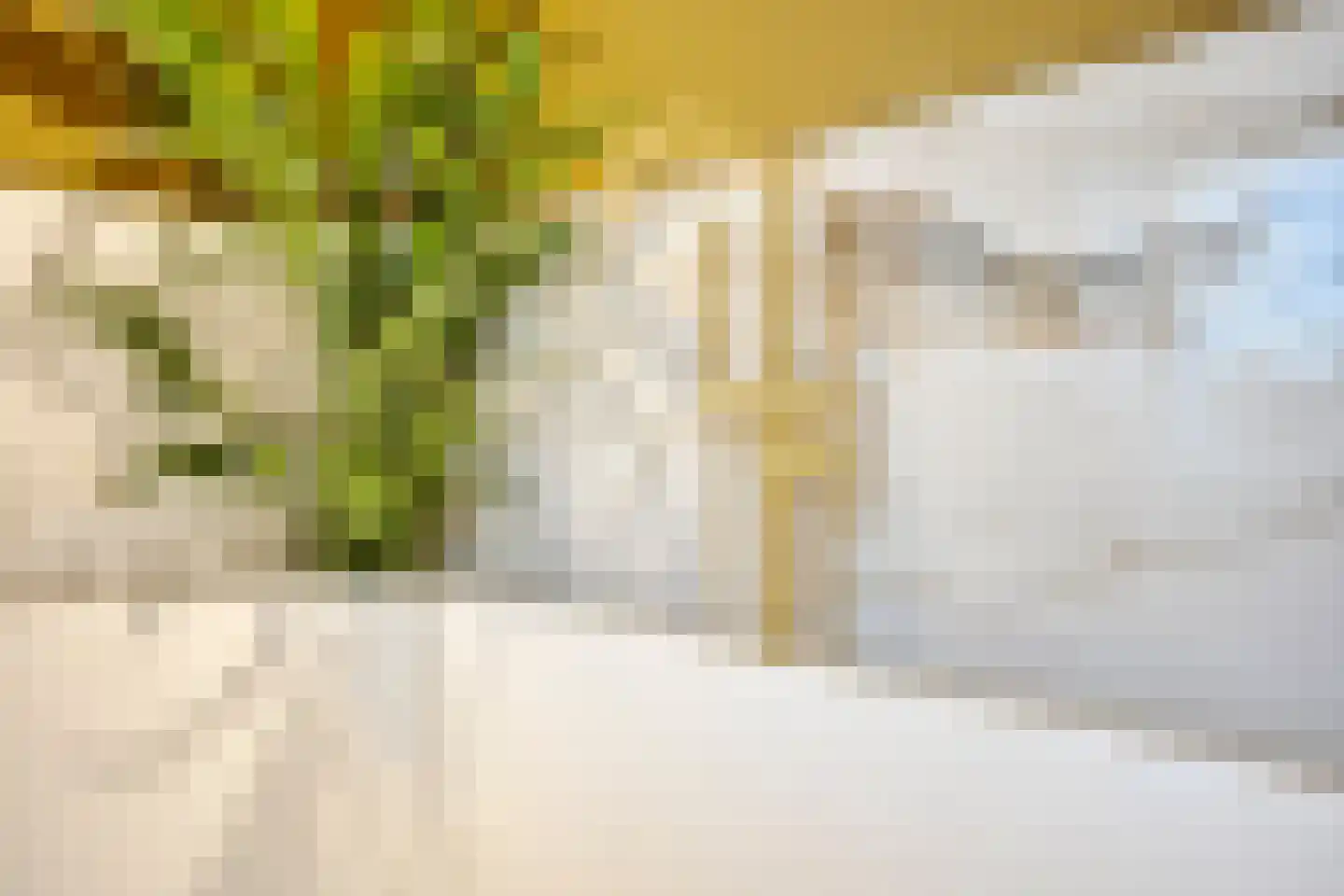 Marie Koenenstraat 8 Rosmalen thumbnail 35