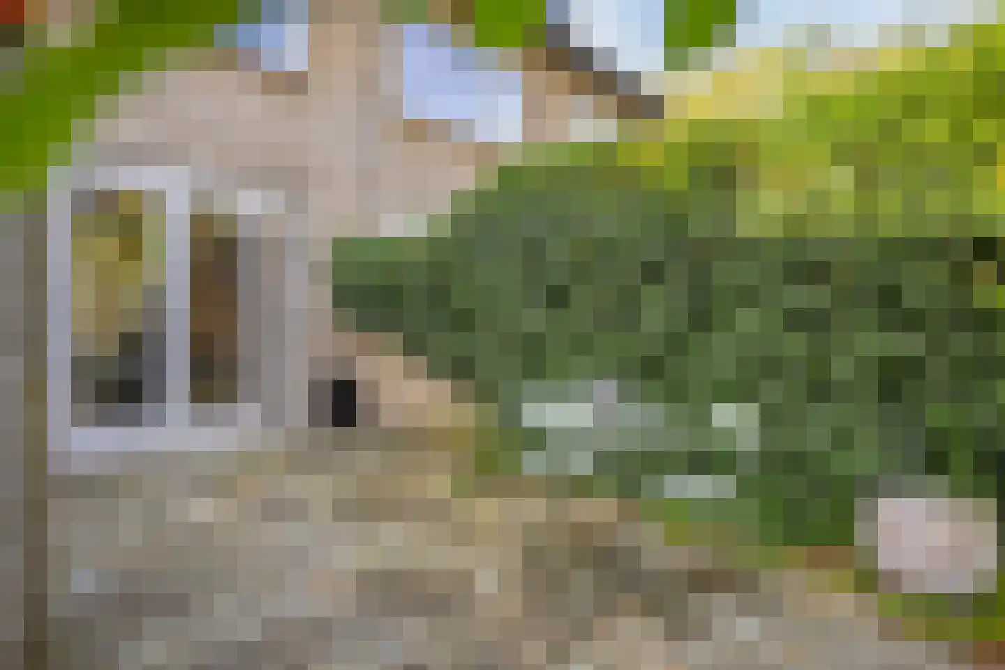 Marie Koenenstraat 8 Rosmalen thumbnail 41