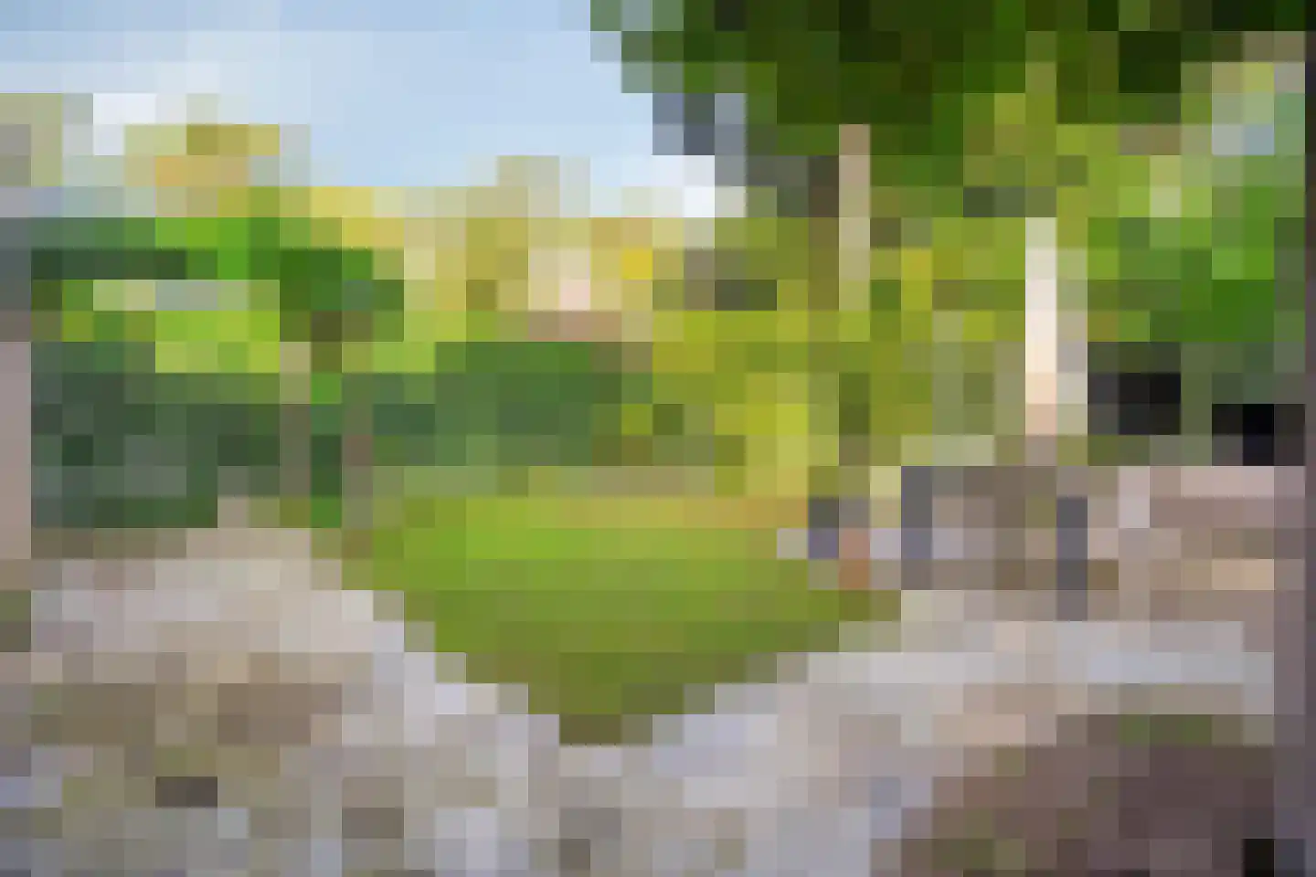Marie Koenenstraat 8 Rosmalen thumbnail 48