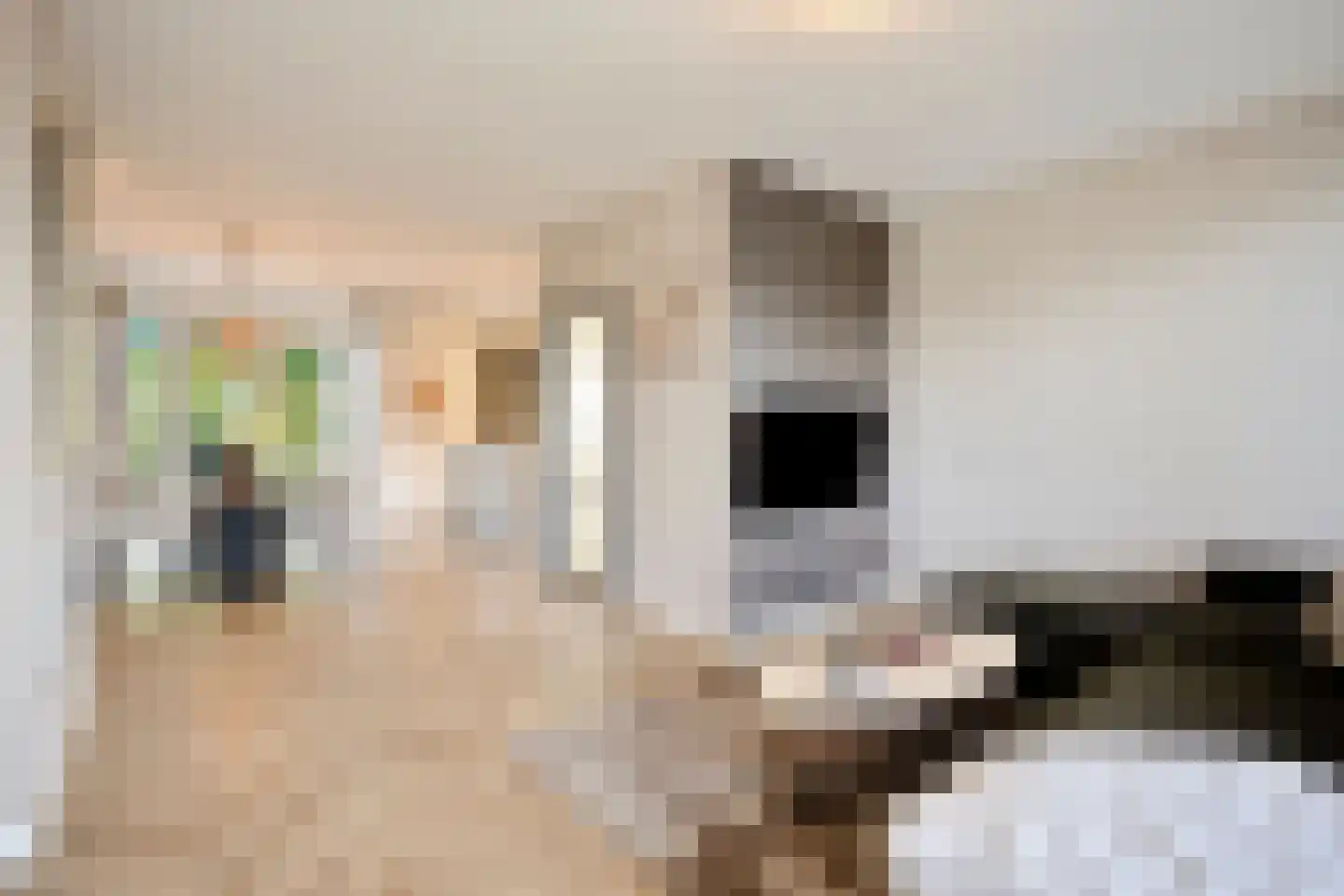 Marie Koenenstraat 8 Rosmalen thumbnail 5