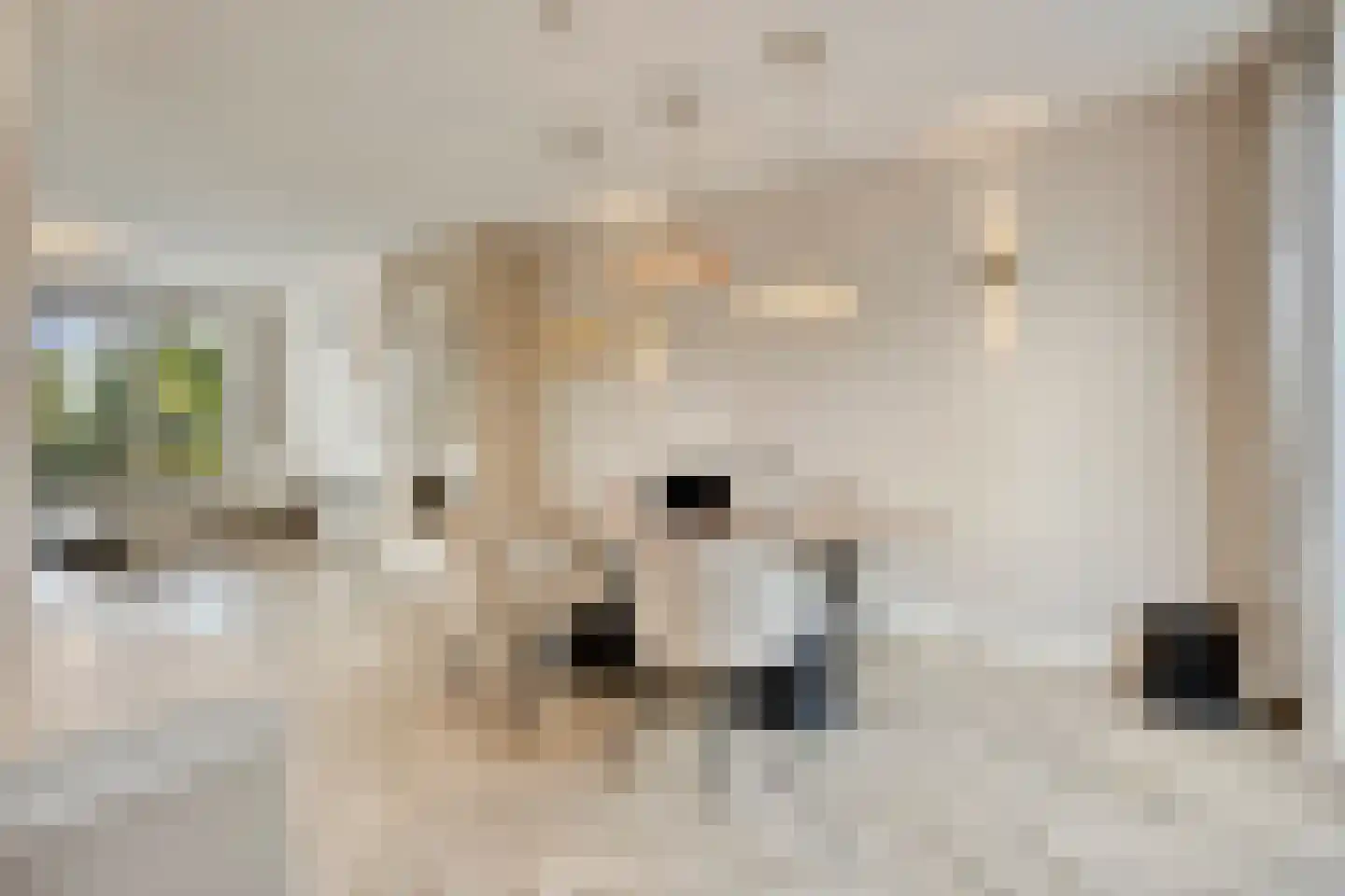Marie Koenenstraat 8 Rosmalen thumbnail 9