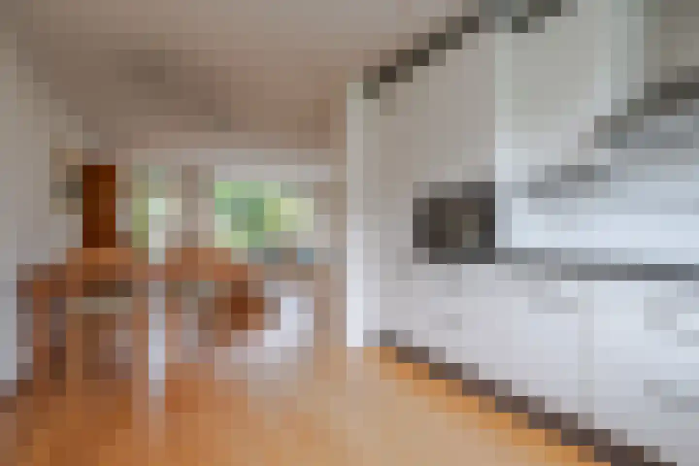 Marie Struijslaan 4 Odijk thumbnail 12